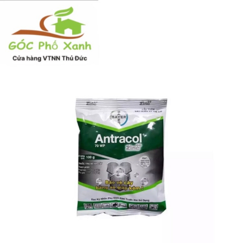 Thuốc trừ bệnh Antracol 70 WP